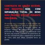 CONTRATO DE UNIÃO ESTÁVEL SEM REGISTRO MAS COM SEPARAÇÃO TOTAL DE BENS NÃO PRODUZ EFEITOS PERANTE TERCEIROS.